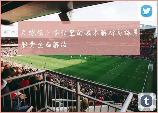 足球场上各位置的战术解析与球员职责全面解读