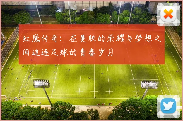 红魔传奇：在曼联的荣耀与梦想之间追逐足球的青春岁月