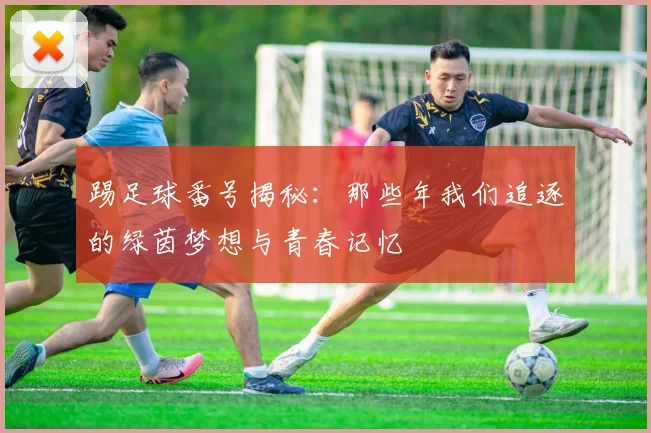 踢足球番号揭秘：那些年我们追逐的绿茵梦想与青春记忆