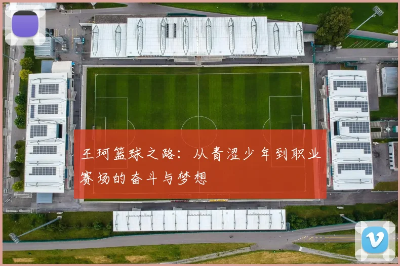王珂篮球之路：从青涩少年到职业赛场的奋斗与梦想