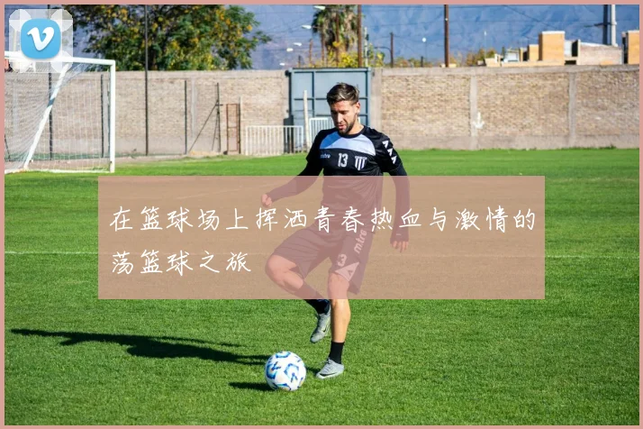 在篮球场上挥洒青春热血与激情的荡篮球之旅