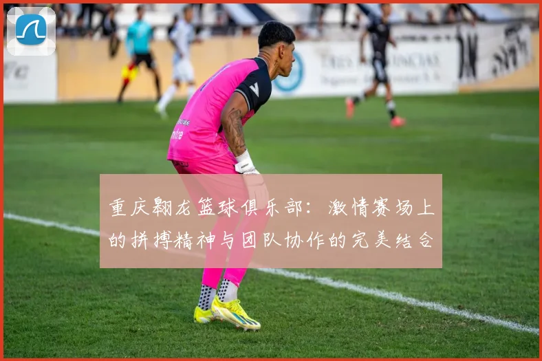 重庆翱龙篮球俱乐部：激情赛场上的拼搏精神与团队协作的完美结合